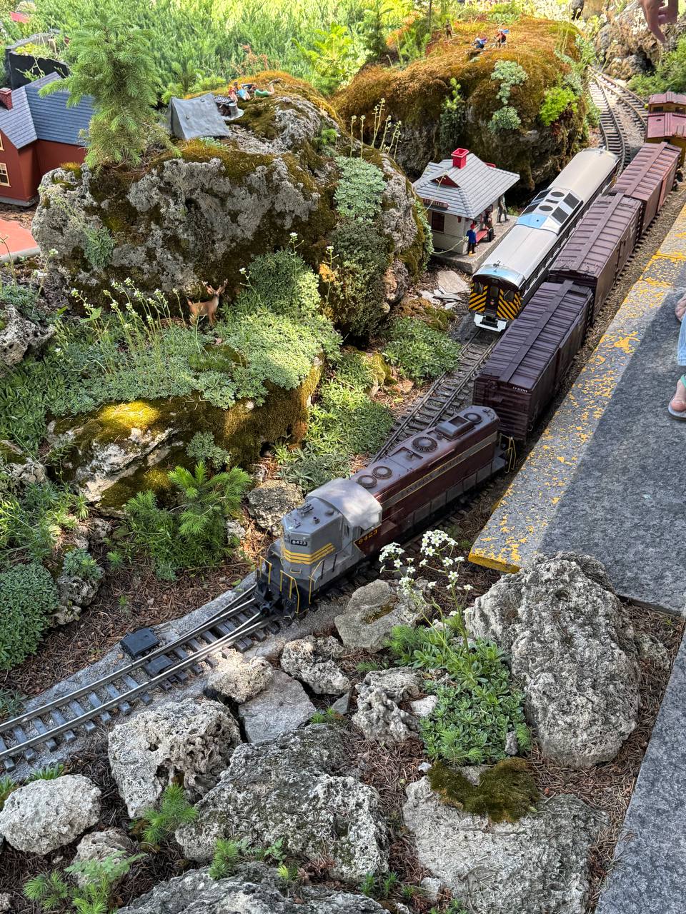 G-scale model train running through a detailed garden railway with mossy rocks, miniature buildings, and lush greenery