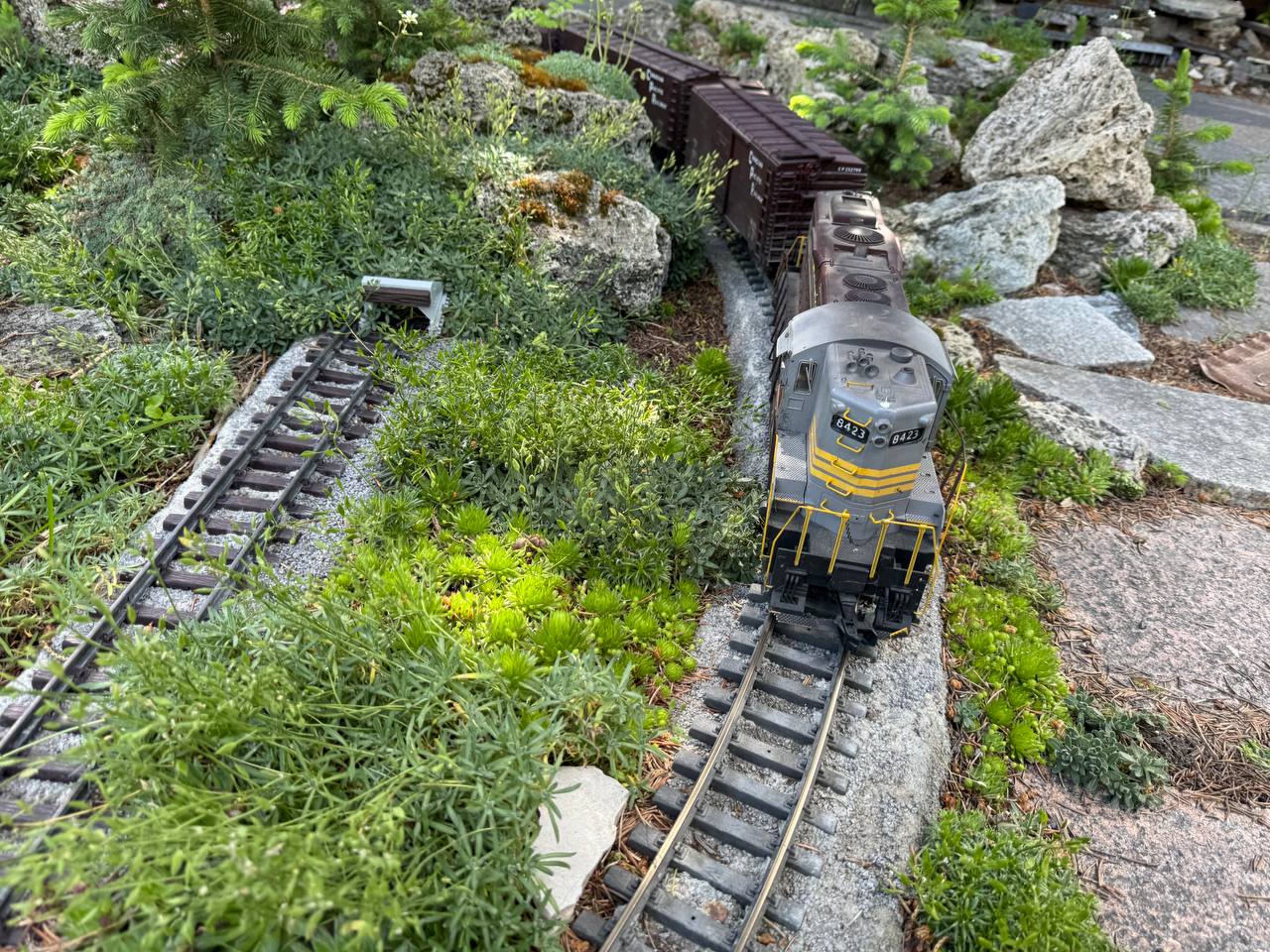 Model train on tracks curving through dense garden greenery with rocks and plants