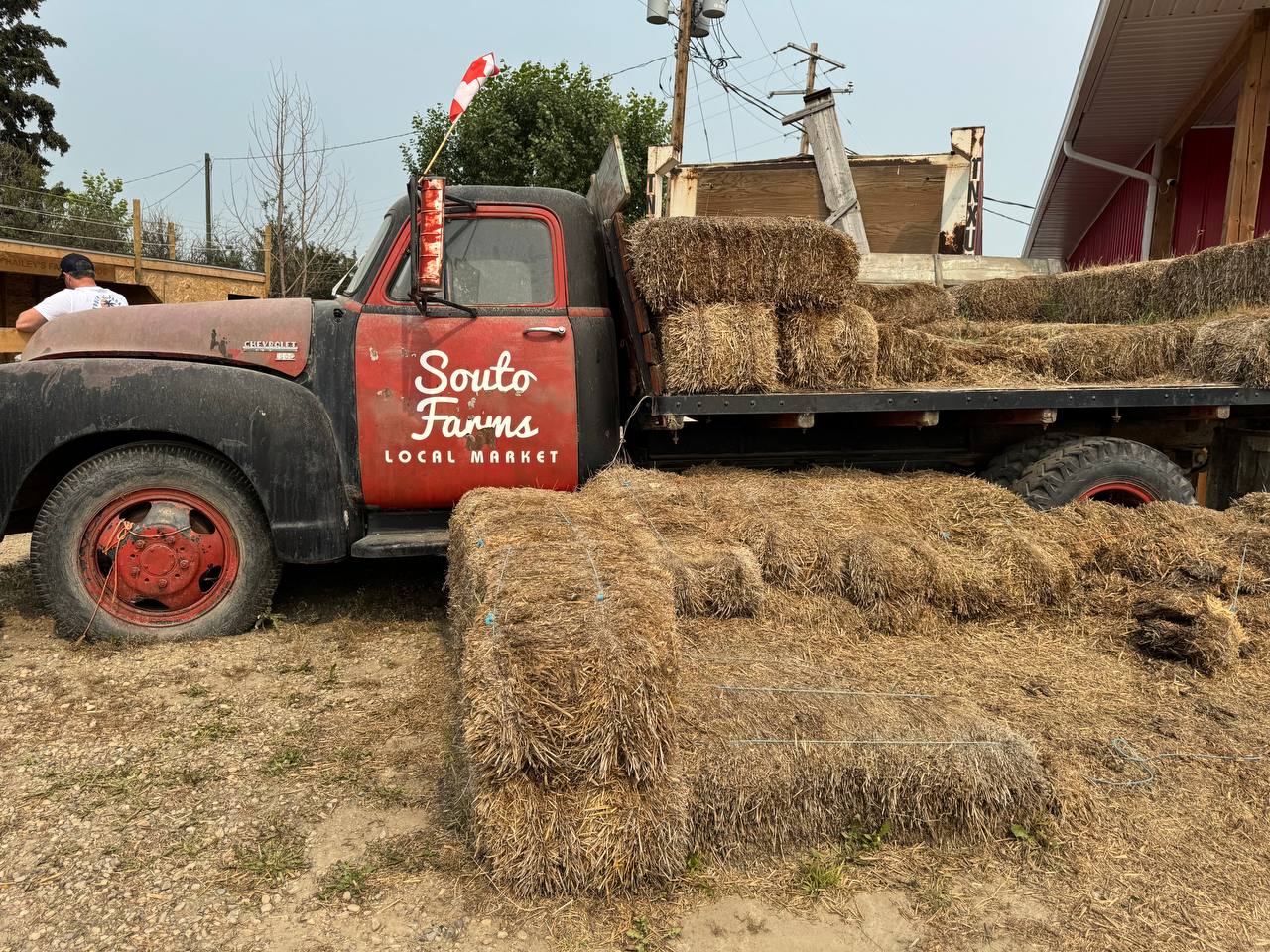 A vintage Souto Farm Market truck beside hay bales